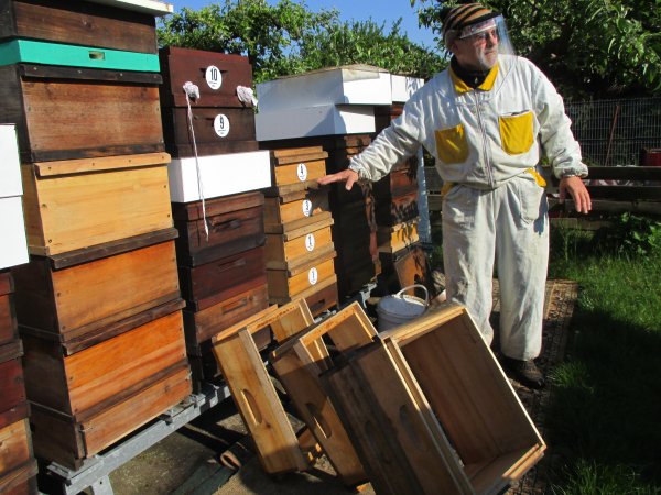 kurz 16.5.2020 téma-rozšiřování včelstev