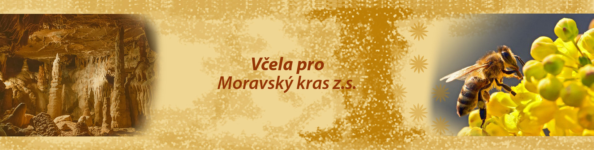 Včela pro moravský kras