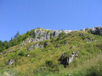chcete včelařit