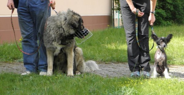 výchova Písečná